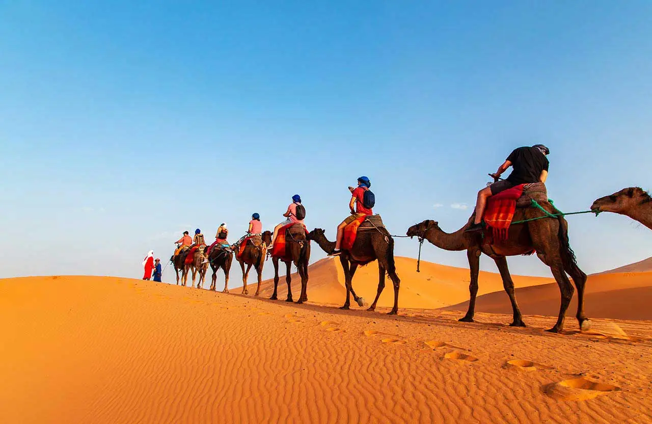 Morocco Sightseeing, Visite Morocco, 4 raisons de partir en excursion à Ouarzazate
