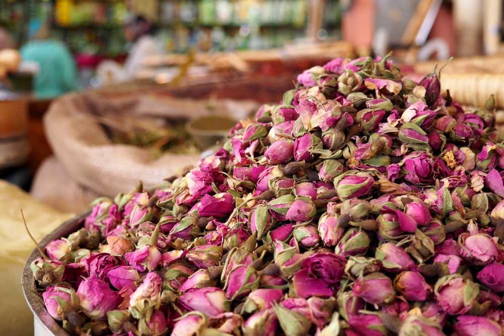 Morocco Sightseeing, Visite Morocco, Festival des roses, un évènement à ne pas rater pour un voyage au Maroc