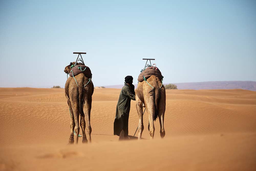 Morocco Sightseeing, Visite Morocco, Sahara désert