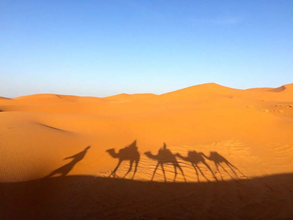 Morocco Sightseeing, Visite Morocco, Les dangers les plus fréquents dans le désert de Sahara