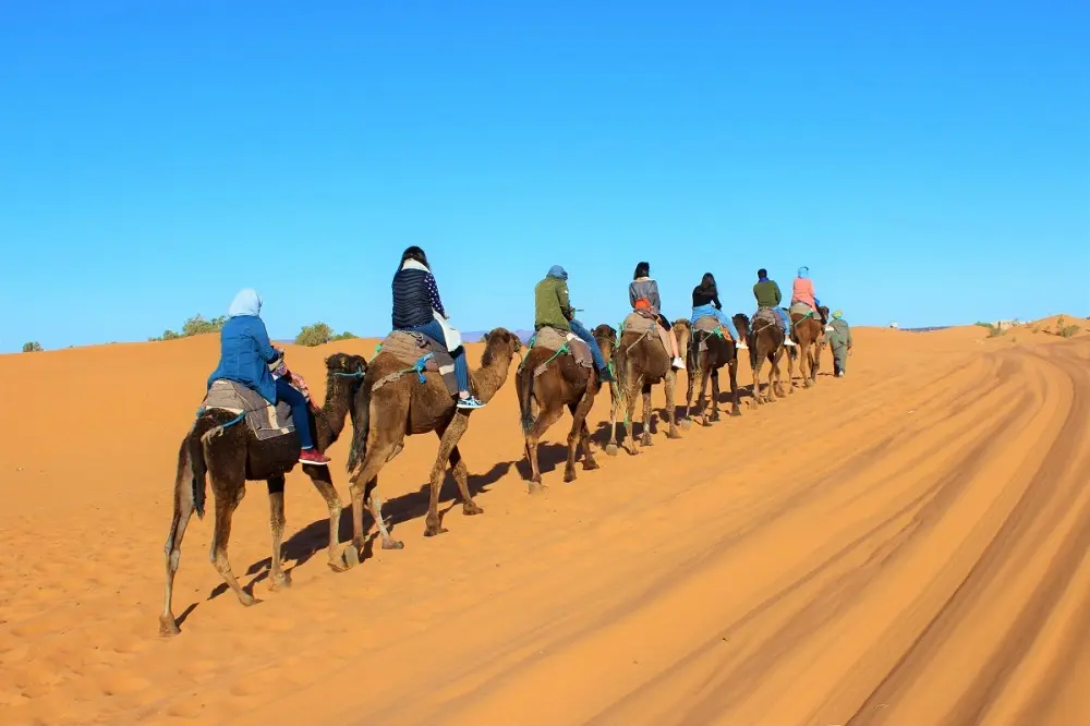 Morocco Sightseeing, Visite Morocco, Tout connaître sur la tribu berbère du Haut Atlas